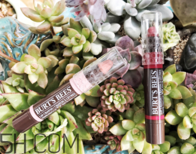 小蜜蜂唇膏筆多少錢？小蜜蜂唇膏筆很貴嗎？