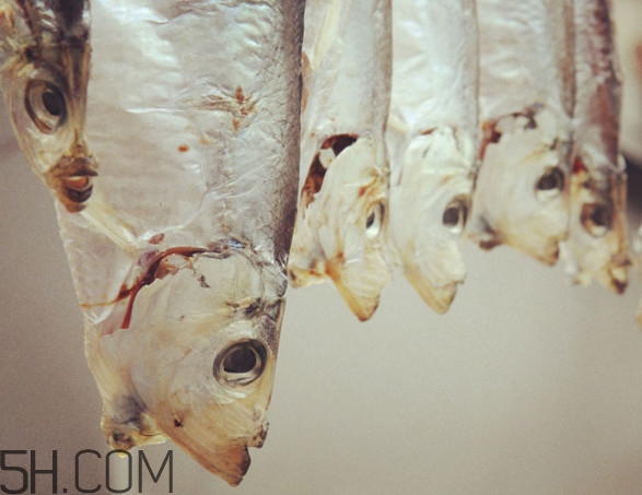 腌咸魚(yú)鹽和魚(yú)的比例是多少？咸魚(yú)一般腌多久才能曬