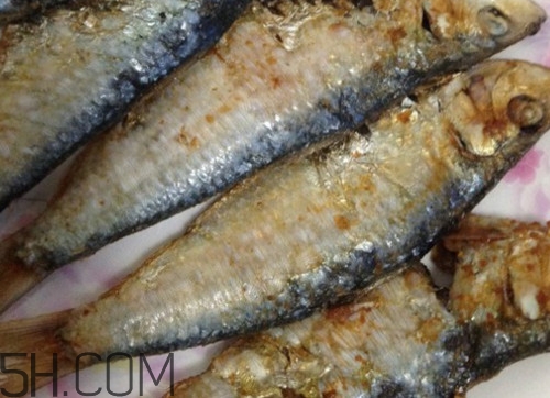 咸魚(yú)是不是海鮮？咸魚(yú)是不是咸水魚(yú)？