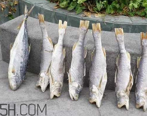 咸魚長毛還能吃嗎？怎樣辨別咸魚是否變質(zhì)