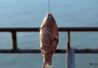 咸魚(yú)什么人不能吃？怎樣去除咸魚(yú)的咸