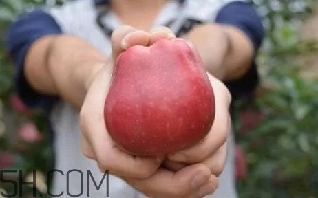 如何鑒別花牛蘋果？為什么叫花牛蘋果
