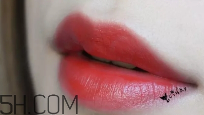 mac lady bug好看嗎？lady bug試色
