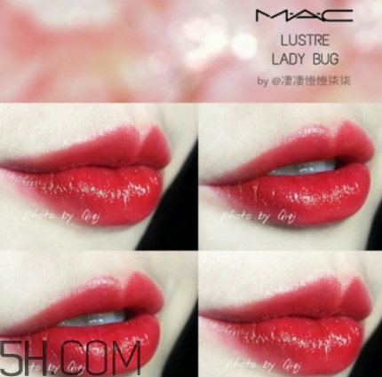 mac lady bug好看嗎？lady bug試色