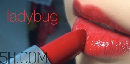 mac lady bug掉色嗎？mac ladybug真假辨別