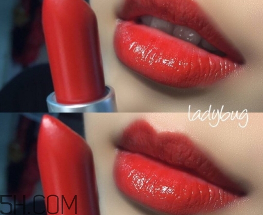mac lady bug掉色嗎？mac ladybug真假辨別