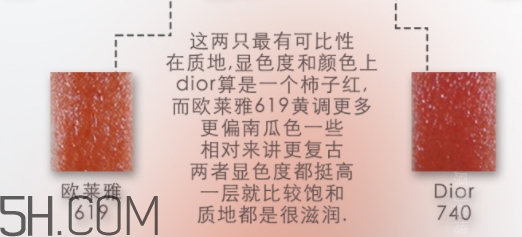 歐萊雅619和迪奧740像嗎？歐萊雅619秋葉和迪奧740對(duì)比