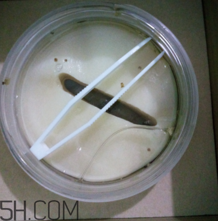 膜法世家金桂花眼膜怎么樣？膜法世家金桂花眼膜好用嗎？