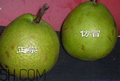 萊陽梨幾月份才會有？正宗萊陽梨哪里能買的到