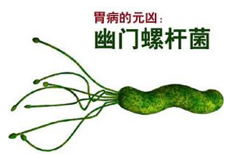 胃幽門螺旋菌陽性怎么辦？幽門螺桿菌能徹底治愈嗎