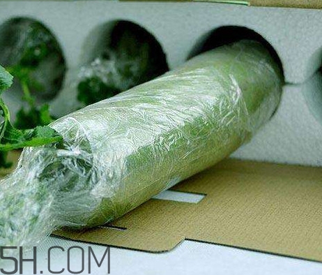 如何鑒別真假沙窩蘿卜？沙窩蘿卜怎么區(qū)分好壞