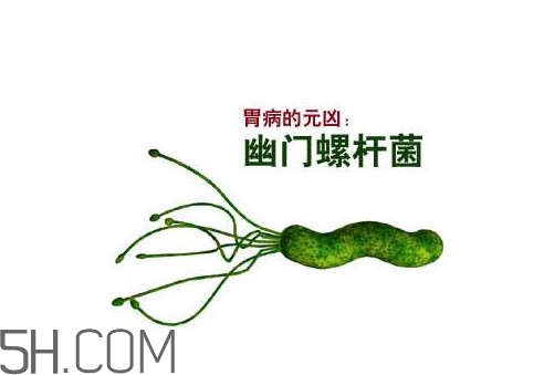 胃幽門螺旋菌陽性怎么辦？幽門螺桿菌能徹底治愈嗎
