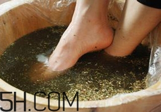 用什么泡腳比較好？艾葉泡腳還是紅花泡腳？