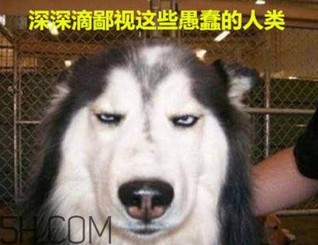 女生說我醉了什么意思？女生說喝多了怎么回復