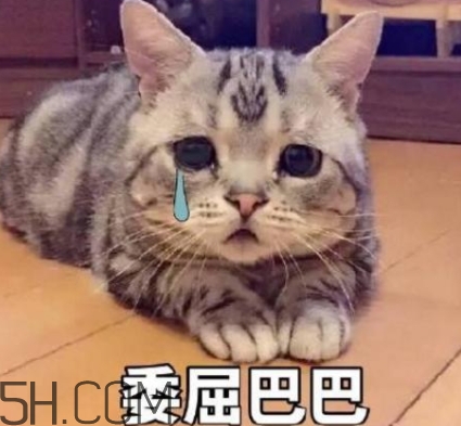 女人說再說吧什么意思？女生再說吧怎么回復(fù)？