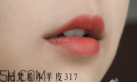 紀梵希304是西柚色嗎？紀梵希小羊皮304和317哪個好看？