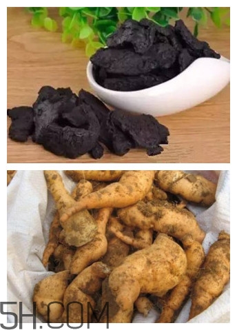 熟地黃與生地黃有什么區(qū)別？熟地黃有什么做法？