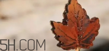 楓糖色口紅是什么顏色？楓糖色口紅試色