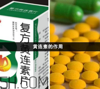 黃連素能降血糖嗎？黃連素能經(jīng)常吃嗎？