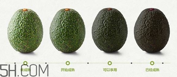 生牛油果可以放冰箱嗎？生牛油果怎么保存？