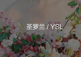 ysl圓管29試色 ysl圓管29號豆沙色