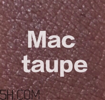 mac mocha和taupe哪個好看？mac mocha和taupe對比試色