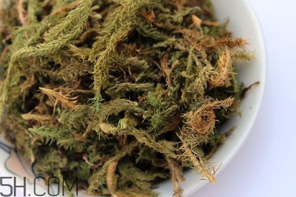 什么是伸筋草？伸筋草的功效與作用是什么？