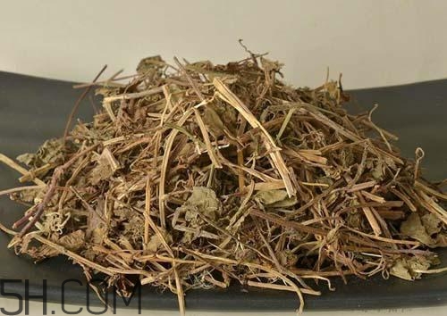 什么是透骨草？透骨草的功效與作用是什么？