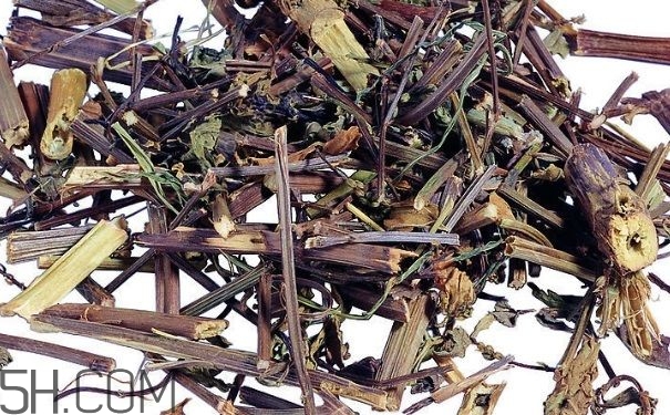 艾葉草洗澡有什么好處？怎么挑選艾葉草？