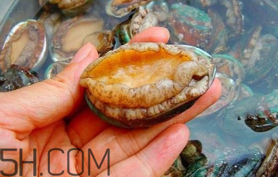 鮑魚怎么做好吃？吃鮑魚注意事項(xiàng)
