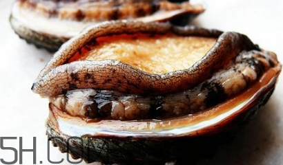 新鮮鮑魚怎么洗才干凈？鮑魚做法大全