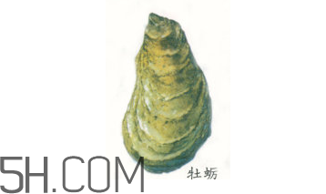 吃生蠔應(yīng)該注意哪些事項？生蠔與牡蠣的區(qū)別