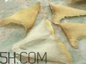 真假魚(yú)翅怎么辨別？魚(yú)翅的營(yíng)養(yǎng)價(jià)值
