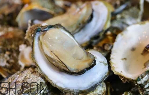 生蠔生吃好嗎？生蠔怎么吃最有營養(yǎng)？
