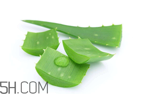 雅麗潔蘆薈膠怎么用？雅麗潔蘆薈膠使用方法