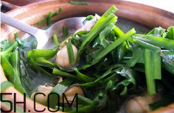 生蠔怎么吃最有營養(yǎng)價值？生蠔和韭菜可以一起吃嗎？
