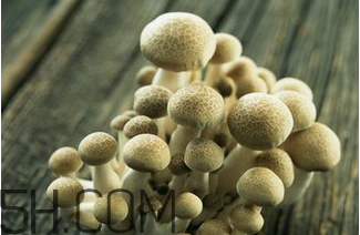 如何判斷生蠔烤熟沒有？生蠔可以和蘑菇一起吃嗎？