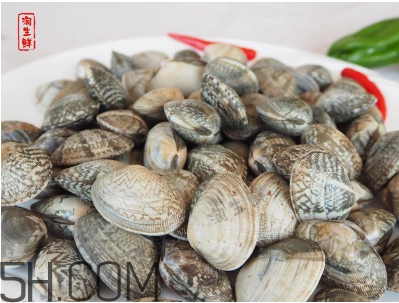 花甲可以冷凍嗎？養(yǎng)花甲鹽和水的比例是多少？