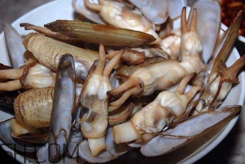 蟶子里面的黑色能吃嗎？蟶子為什么一撒鹽就出來？