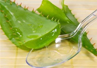 自然樂園蘆薈膠孕婦可以用嗎？自然樂園蘆薈膠使用心得