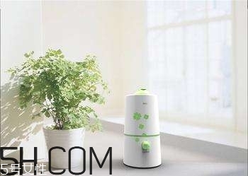 加濕器的使用誤區(qū)有哪些？加濕器的功能介紹
