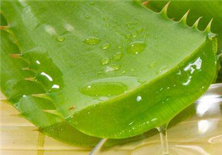 自然樂園蘆薈膠怎么用？自然樂園蘆薈膠使用方法