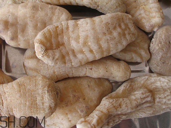 天麻能泡水喝嗎？吃天麻有什么作用？