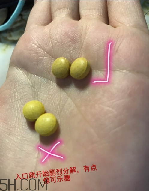 新谷酵素多少錢一盒？新谷酵素真假辨認(rèn)