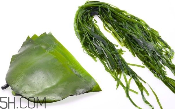 海帶的做法有哪些？怎么挑選優(yōu)質(zhì)海帶？