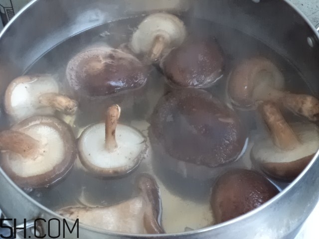 香菇和白蘿卜可以一起吃嗎？香菇和白蘿卜一起吃有什么好處？