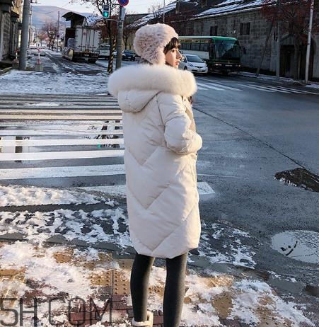 鵝絨羽絨服大概多少錢？白鵝絨羽絨服多少錢一件？