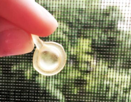雅頓眼膠和面膠區(qū)別 雅頓眼膠和面膠可以一起用嗎？