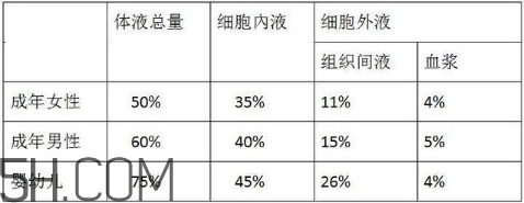 男人是水做的可信嗎？為什么說男人是水做的？