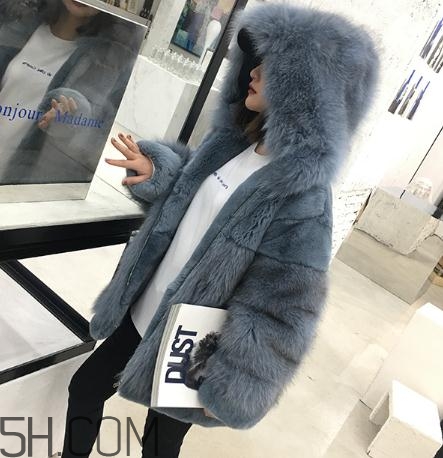 獺兔毛皮草一千元貴嗎？獺兔毛皮草2018年價格